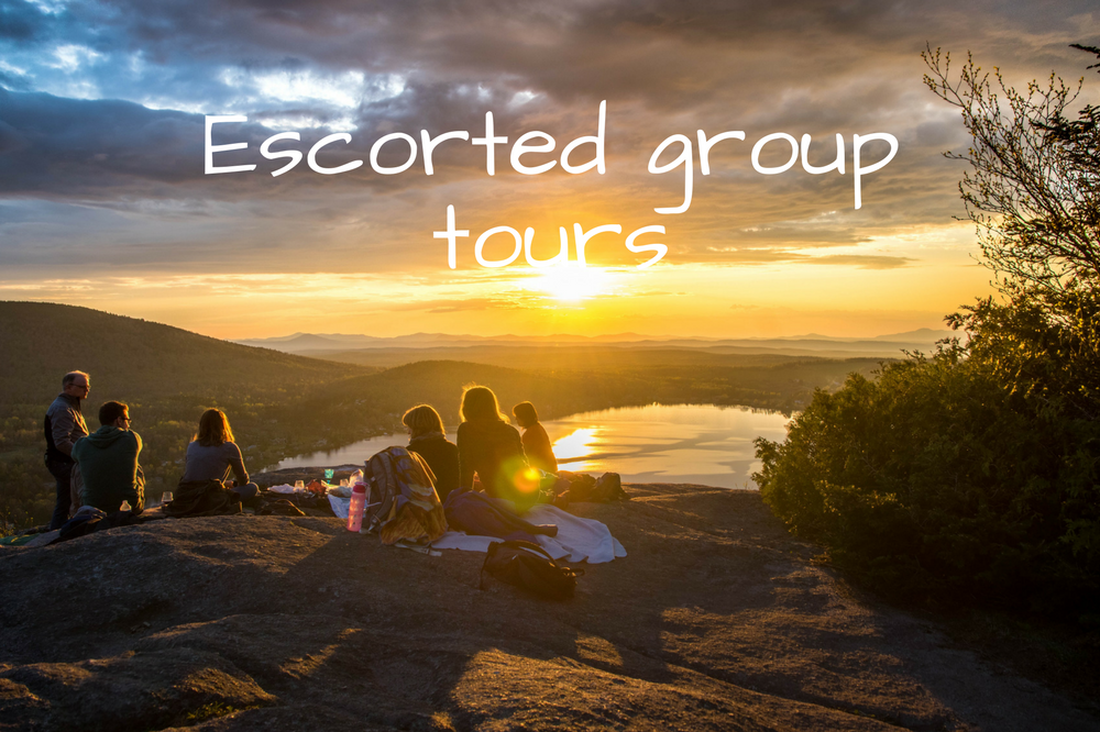 Escorted group tours